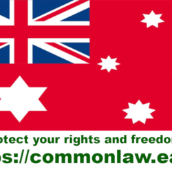Common Law Car Stickers